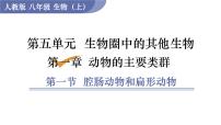 初中生物人教版 (新课标)八年级上册第五单元 生物圈中的其他生物第一章   动物的主要类群第六节   鸟课堂教学ppt课件