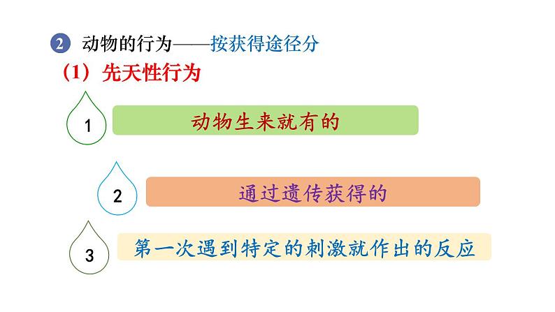 人教版八年级生物上册课件 第5单元 第2章 第2节  先天性行为和学习行为08