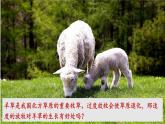人教版八年级生物上册课件 第5单元 第3章 动物在生物圈中的作用