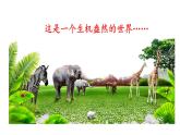 人教版八年级生物上册课件 第5单元 第3章 动物在生物圈中的作用