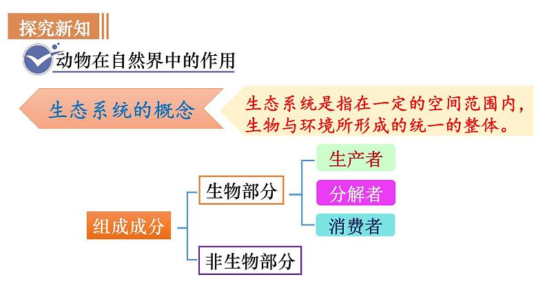 人教版八年级生物上册课件 第5单元 第3章 动物在生物圈中的作用06