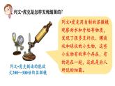 人教版八年级生物上册课件 第5单元 第4章 第2节 细菌