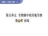 人教版八年级生物上册课件 第5单元 第4章 第5章  病毒