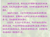 人教版八年级生物上册课件 第5单元 第4章 第5章  病毒