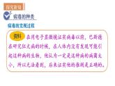 人教版八年级生物上册课件 第5单元 第4章 第5章  病毒