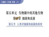人教版八年级生物上册课件 第5单元 第4章 第5节  人类对细菌和真菌的利用