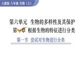 人教版八年级生物上册课件 第6单元 第1章 第1节  尝试对生物进行分类
