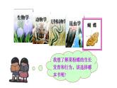 人教版八年级生物上册课件 第6单元 第1章 第1节  尝试对生物进行分类