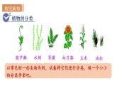 人教版八年级生物上册课件 第6单元 第1章 第1节  尝试对生物进行分类