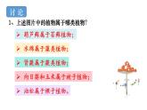 人教版八年级生物上册课件 第6单元 第1章 第1节  尝试对生物进行分类