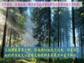 人教版八年级生物上册课件 第6单元 第2章 认识生物的多样性