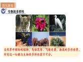 人教版八年级生物上册课件 第6单元 第2章 认识生物的多样性