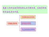 人教版八年级生物上册课件 第6单元 第2章 认识生物的多样性