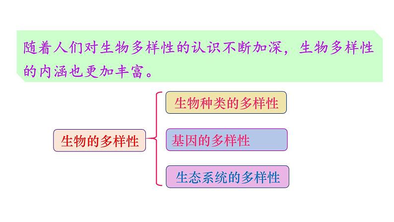 人教版八年级生物上册课件 第6单元 第2章 认识生物的多样性04