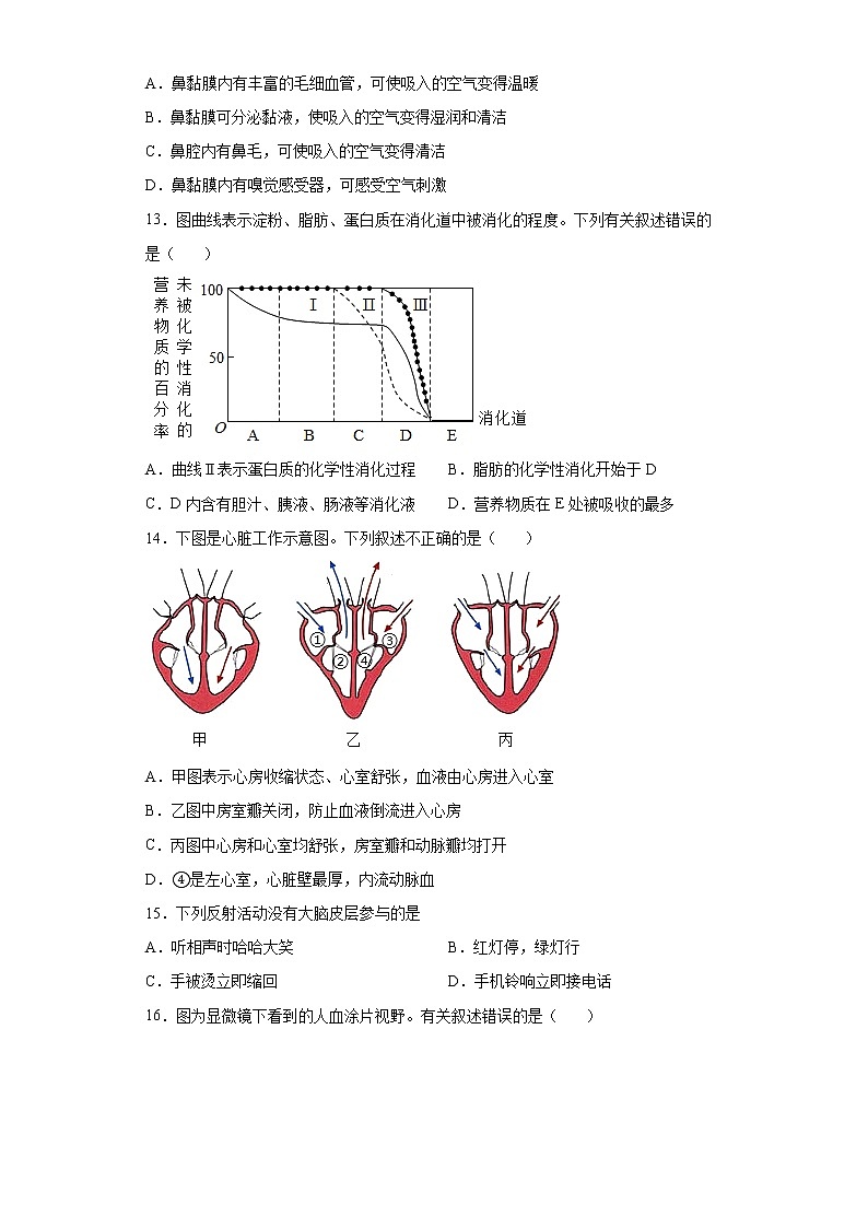 山东省青岛市城阳区2021-2022学年七年级下学期期末生物试题(word版含答案)03
