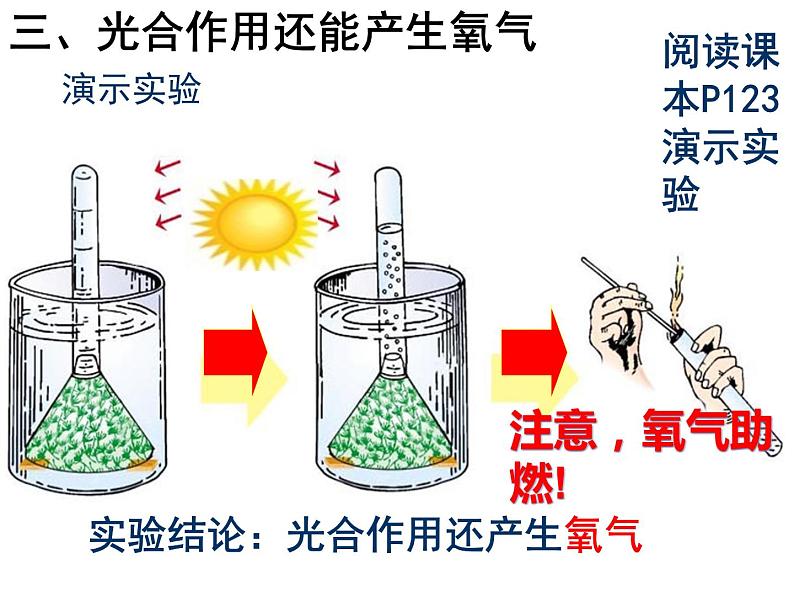 光合作用吸收二氧化碳释放氧气     综合课件第5页