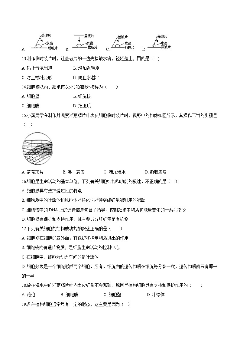 2.1.2+植物细胞 人教版生物七年级上册同步检测卷03