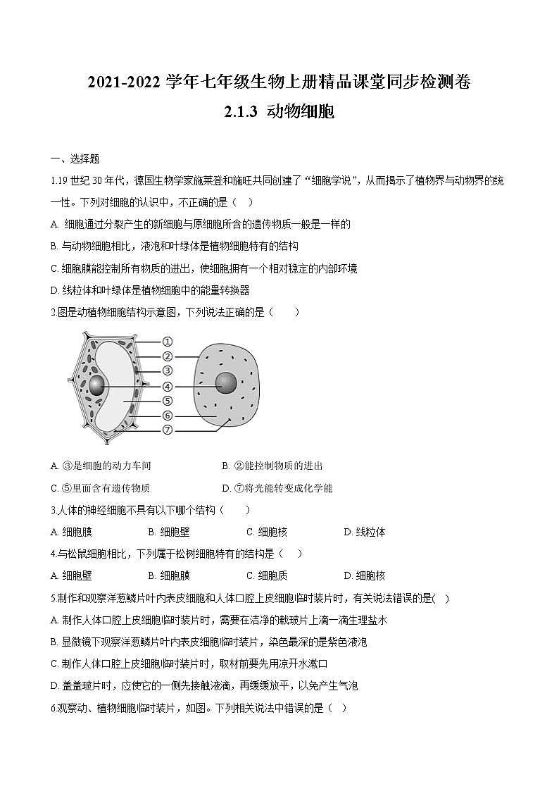 2.1.3+动物细胞 人教版生物七年级上册同步检测卷01