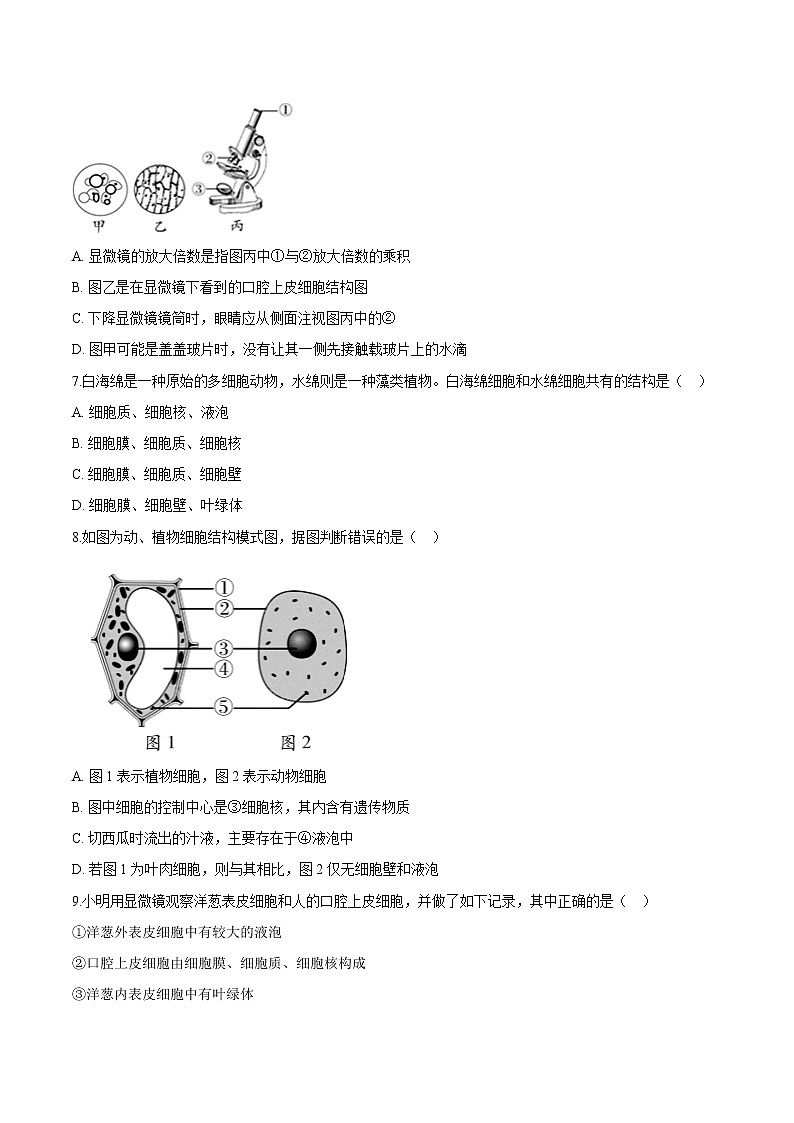 2.1.3+动物细胞 人教版生物七年级上册同步检测卷02