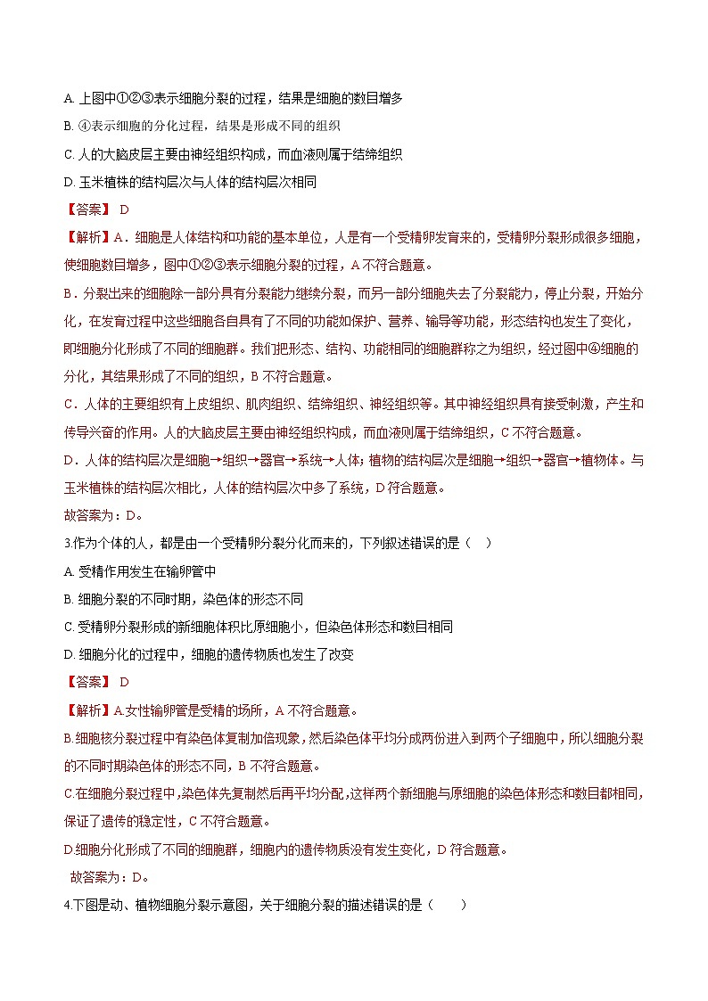 2.2.1+细胞通过分裂产生新细胞 人教版生物七年级上册同步检测卷02