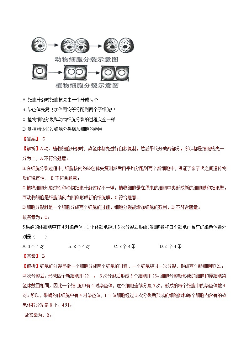 2.2.1+细胞通过分裂产生新细胞 人教版生物七年级上册同步检测卷03