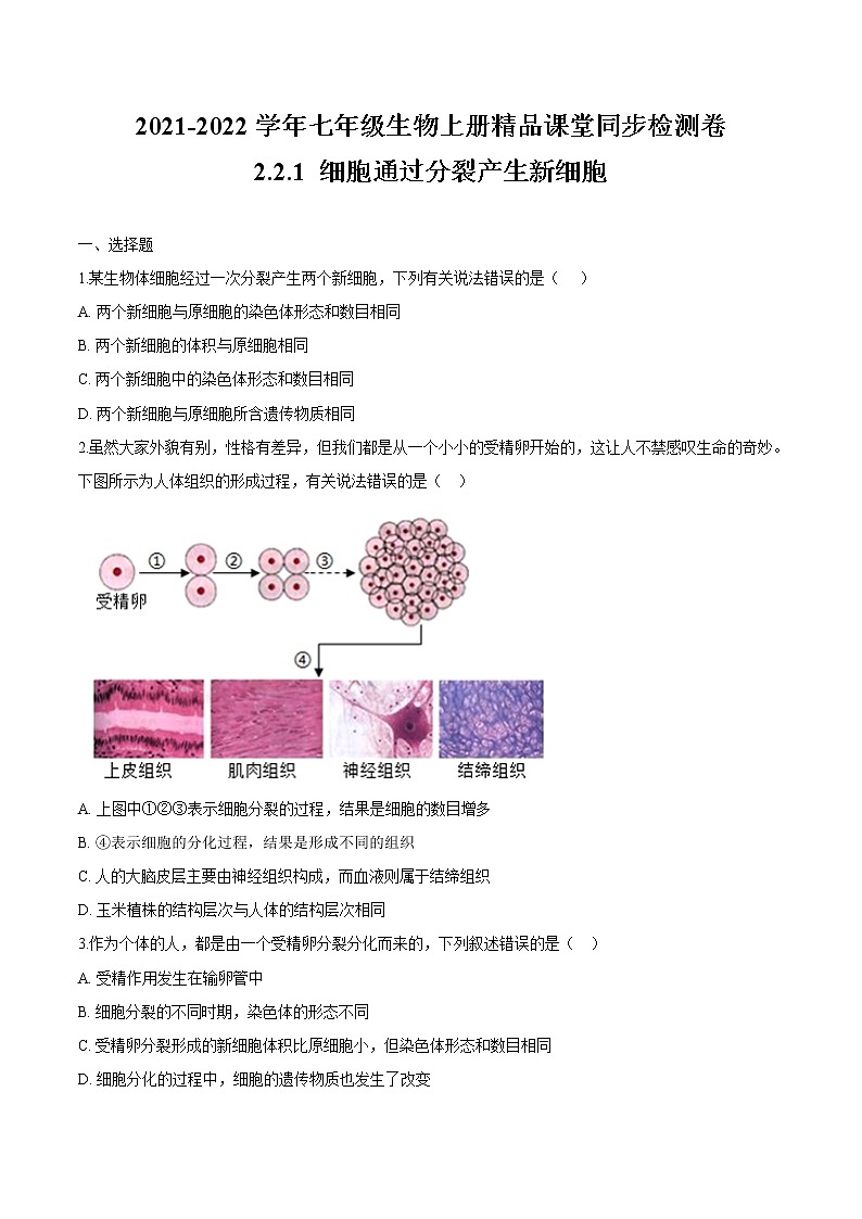 2.2.1+细胞通过分裂产生新细胞 人教版生物七年级上册同步检测卷01