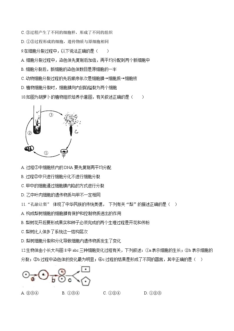 2.2.1+细胞通过分裂产生新细胞 人教版生物七年级上册同步检测卷03