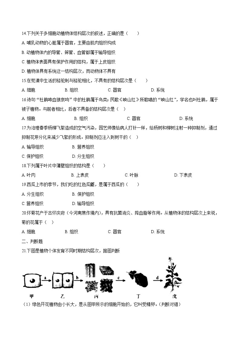 2.2.3+植物体的结构层次 人教版生物七年级上册同步检测卷03