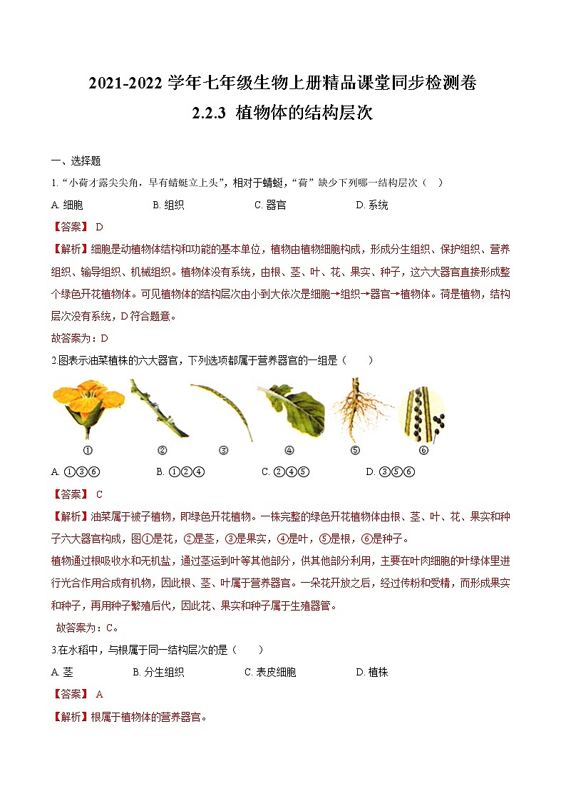 2.2.3+植物体的结构层次 人教版生物七年级上册同步检测卷01