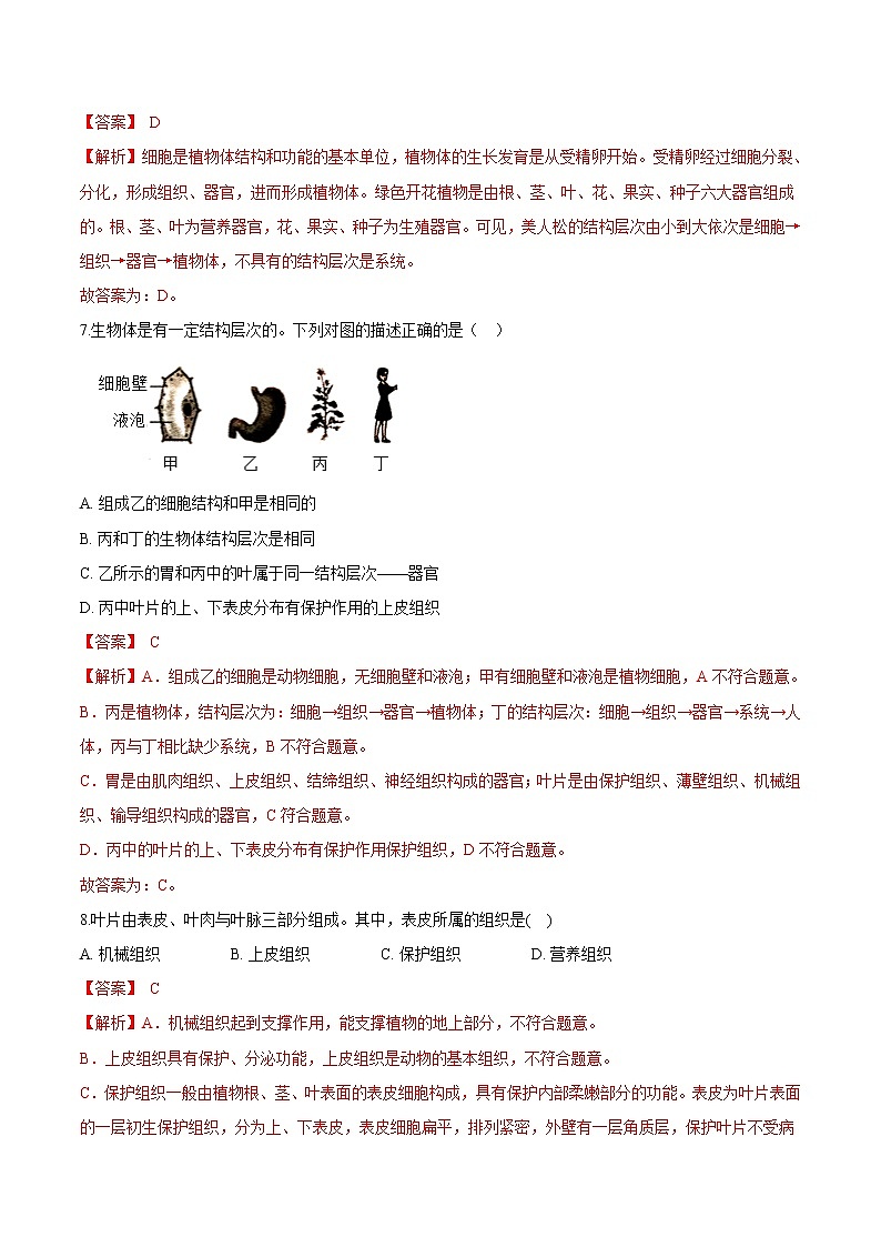 2.2.3+植物体的结构层次 人教版生物七年级上册同步检测卷03
