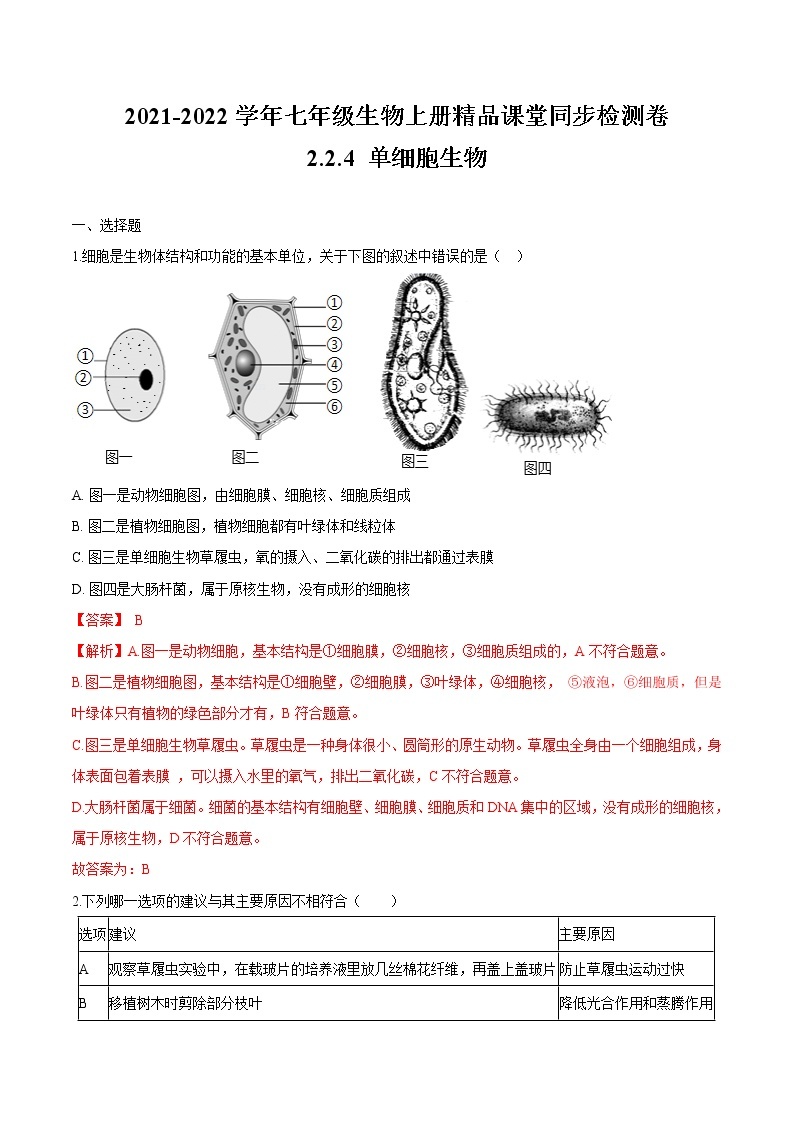 2.2.4+单细胞生物 人教版生物七年级上册同步检测卷01