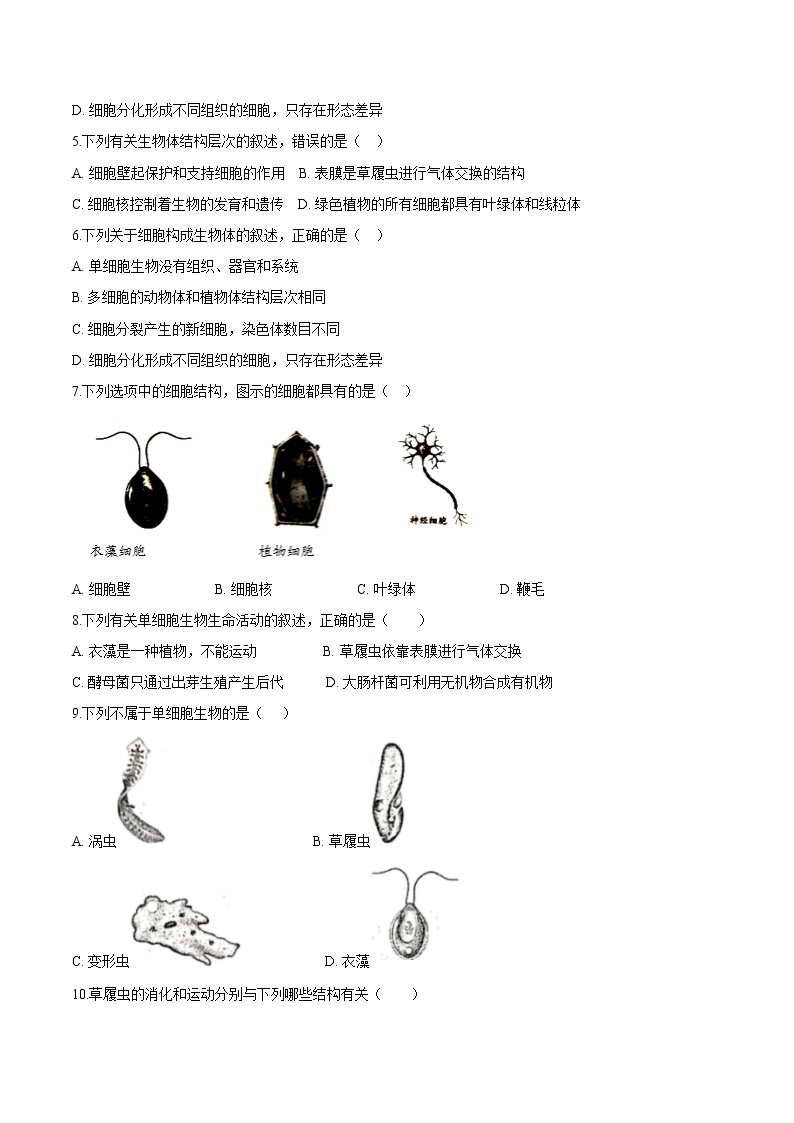 2.2.4+单细胞生物 人教版生物七年级上册同步检测卷02