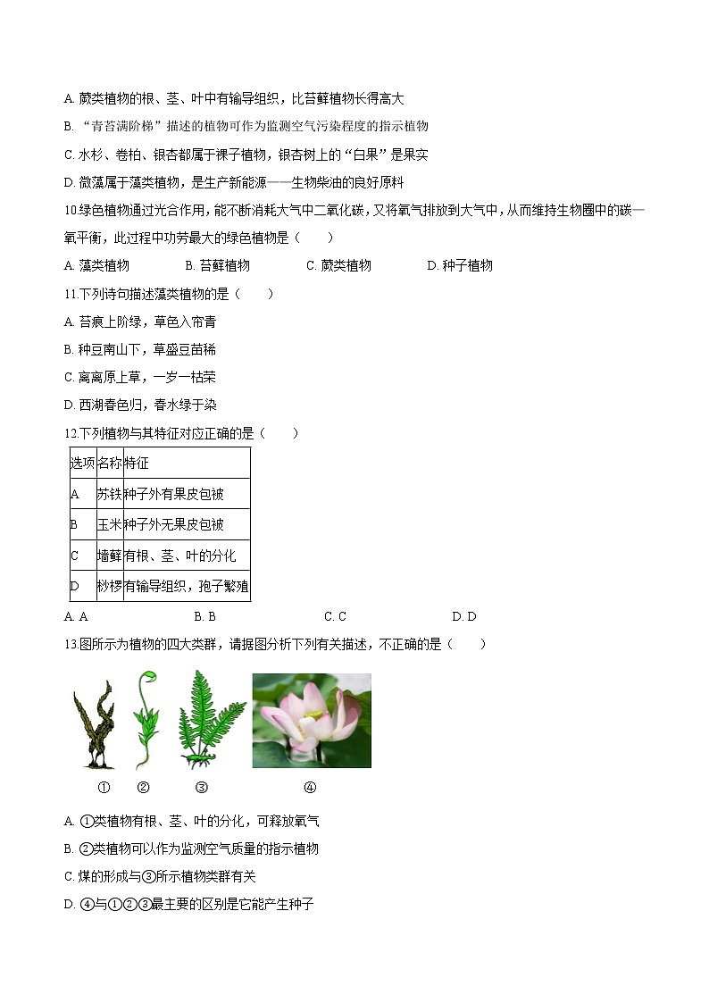 3.1.1+藻类、苔藓和蕨类植物 人教版生物七年级上册同步检测卷02