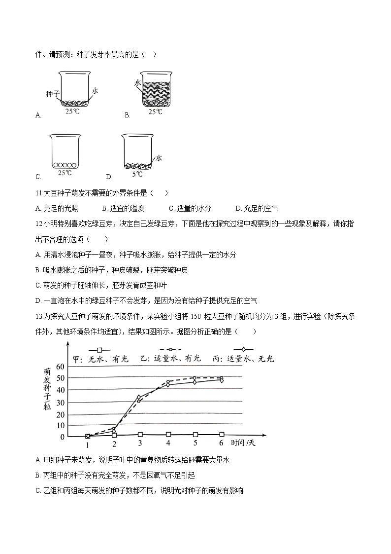 3.2.1+种子的萌发 人教版生物七年级上册同步检测卷03