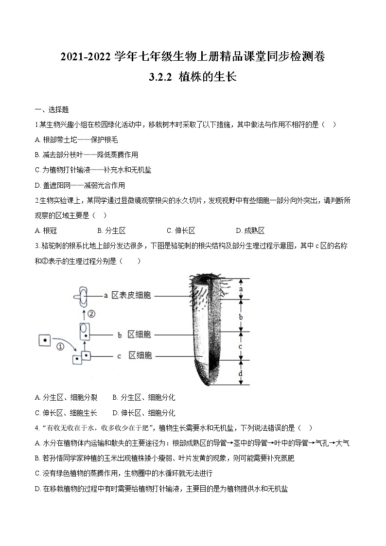 3.2.2+植株的生长 人教版生物七年级上册同步检测卷01