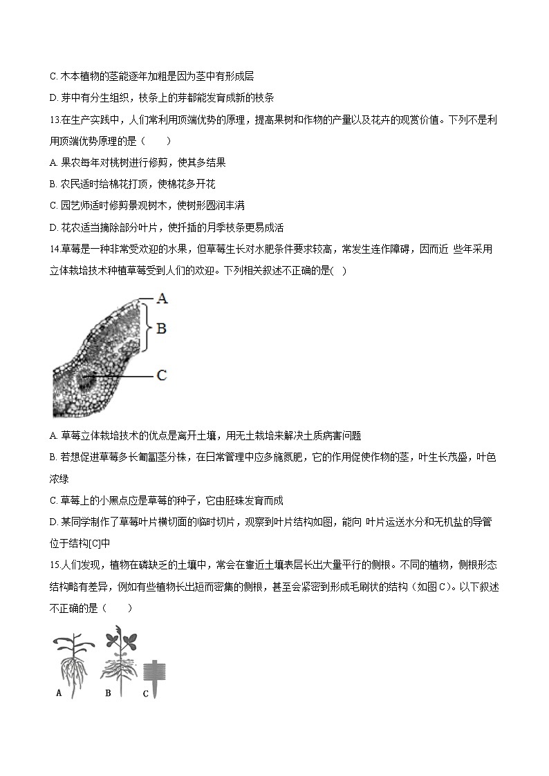3.2.2+植株的生长 人教版生物七年级上册同步检测卷03