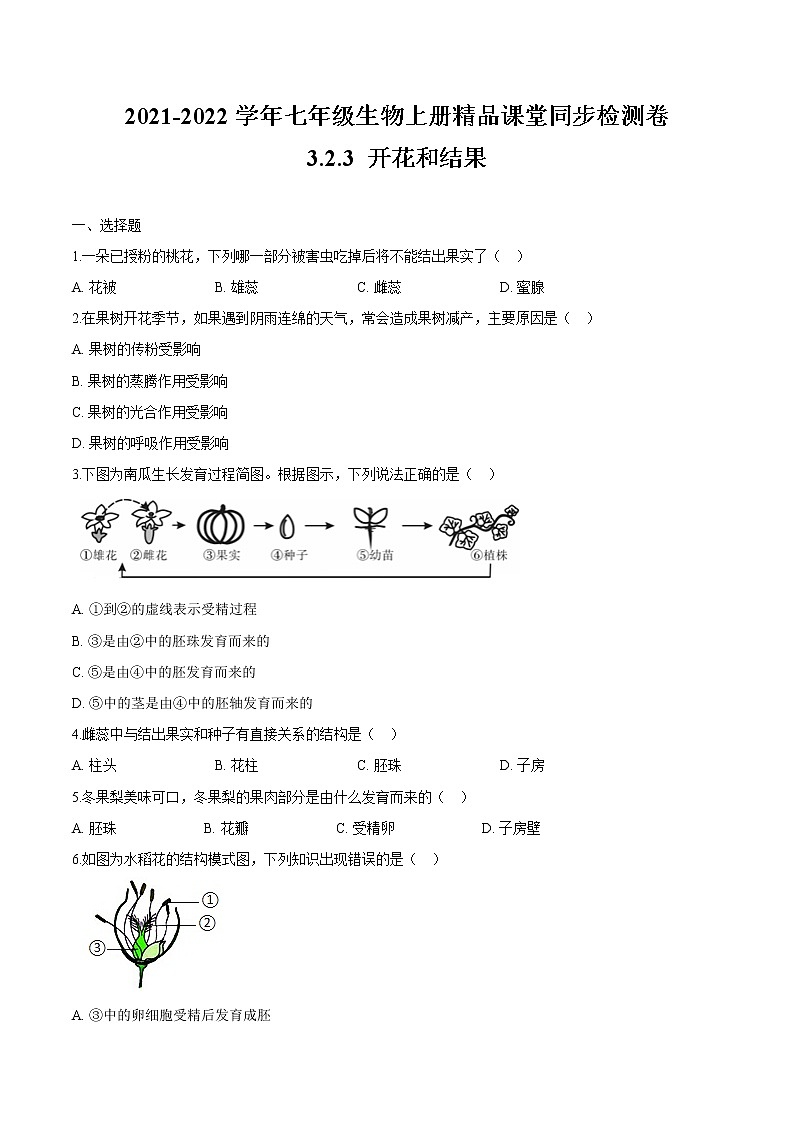 3.2.3+开花和结果 人教版生物七年级上册同步检测卷01