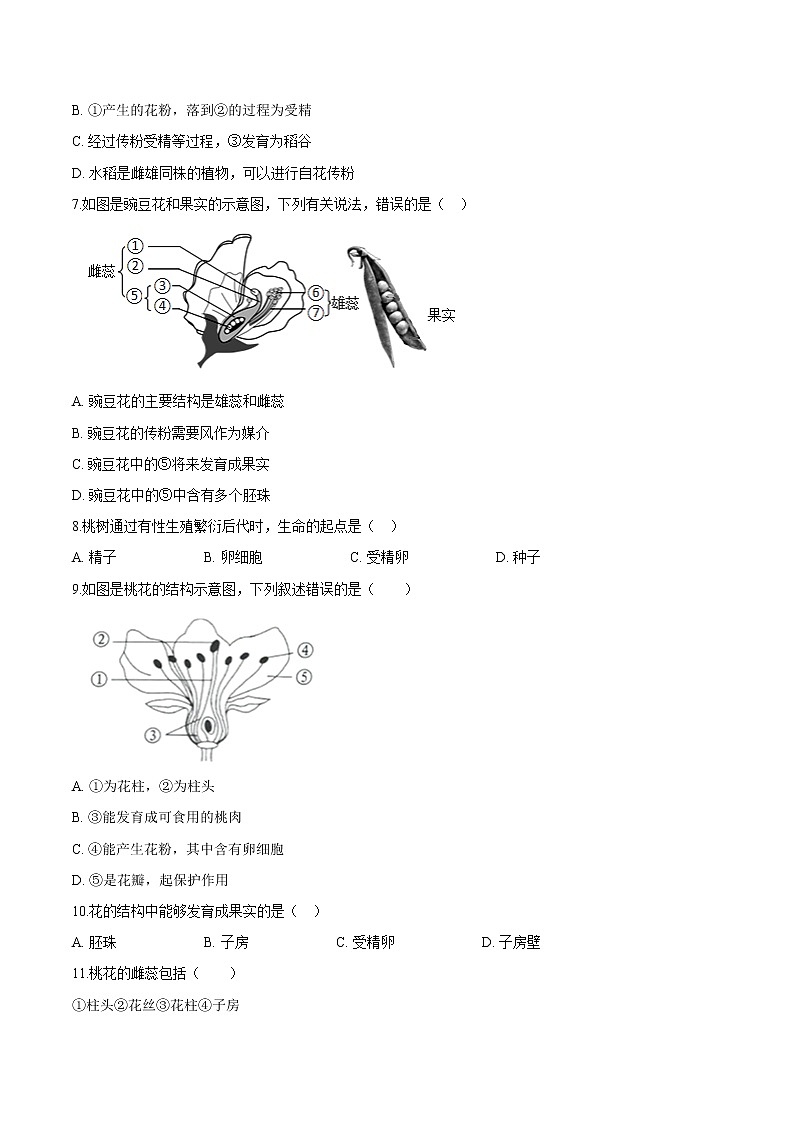 3.2.3+开花和结果 人教版生物七年级上册同步检测卷02
