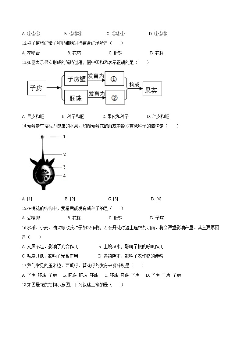 3.2.3+开花和结果 人教版生物七年级上册同步检测卷03