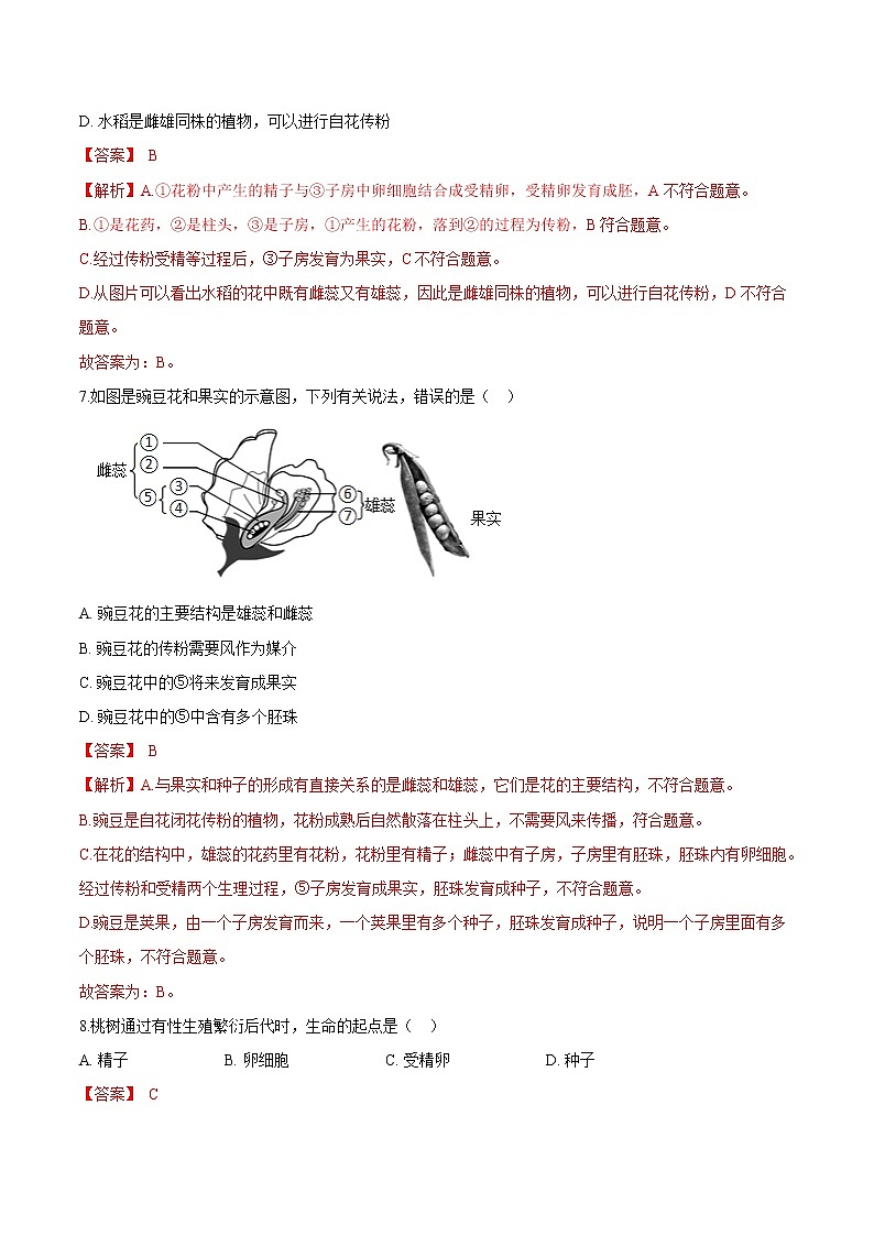 3.2.3+开花和结果 人教版生物七年级上册同步检测卷03