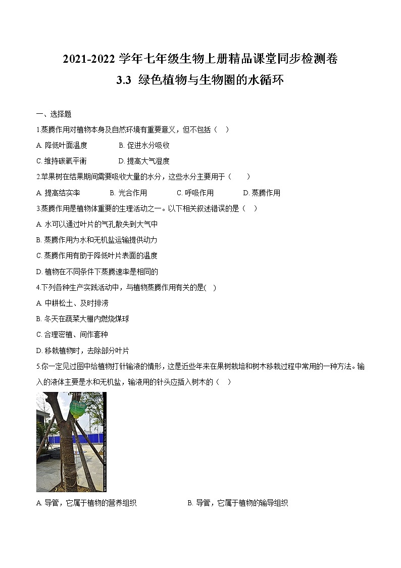 3.3+绿色植物与生物圈的水循环 人教版生物七年级上册同步检测卷01