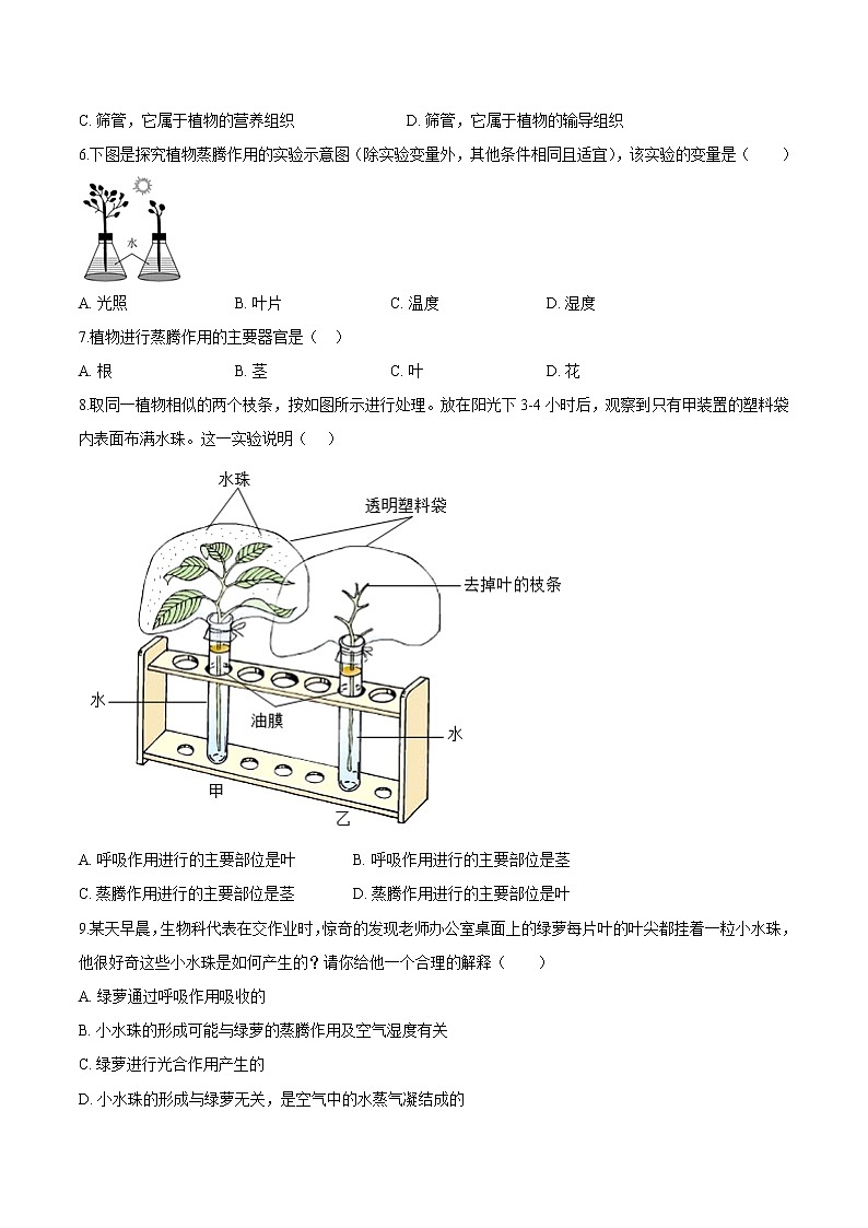 3.3+绿色植物与生物圈的水循环 人教版生物七年级上册同步检测卷02