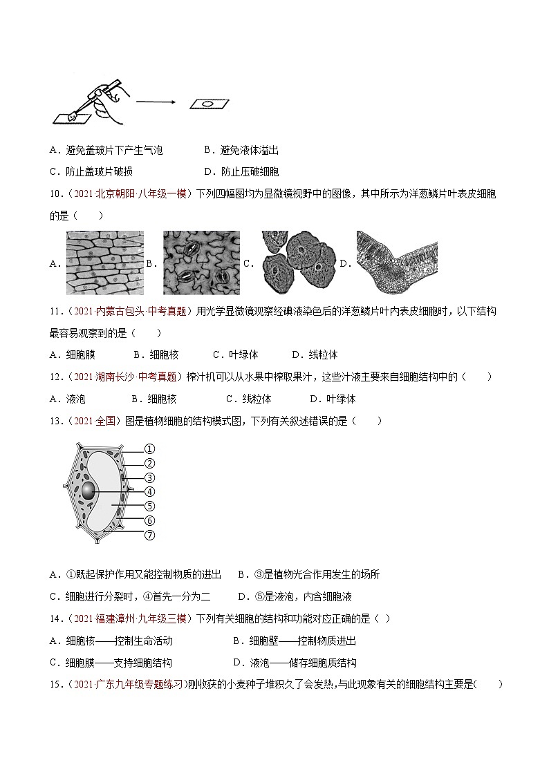 第02单元第01章   细胞是生命活动的基本单位单元测试（B卷·提升能力）（原卷版） 第3页