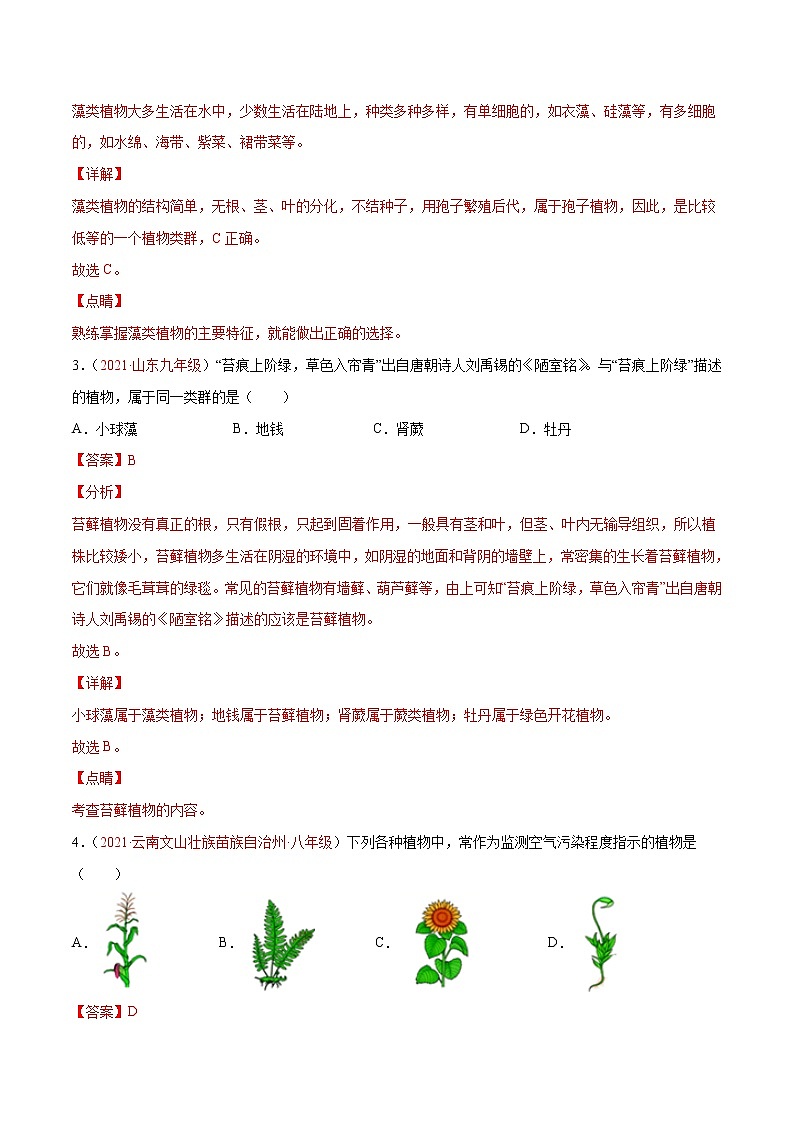 第03单元第01章生物圈中有哪些绿色植物、02章被子植物的一生单元测试（A卷•劣实基础）（解析版）第2页