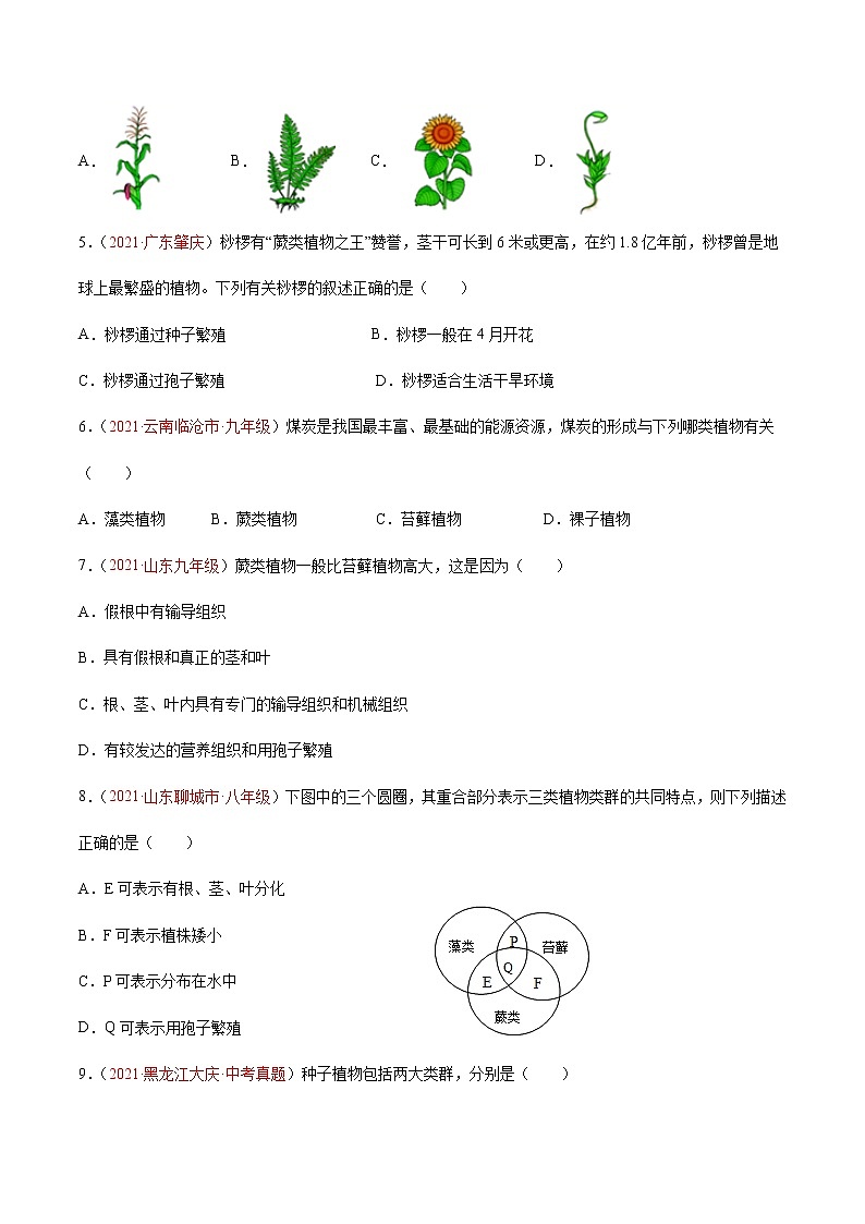 第03单元第01章生物圈中有哪些绿色植物、02章被子植物的一生单元测试（A卷•劣实基础）（原卷版）第2页