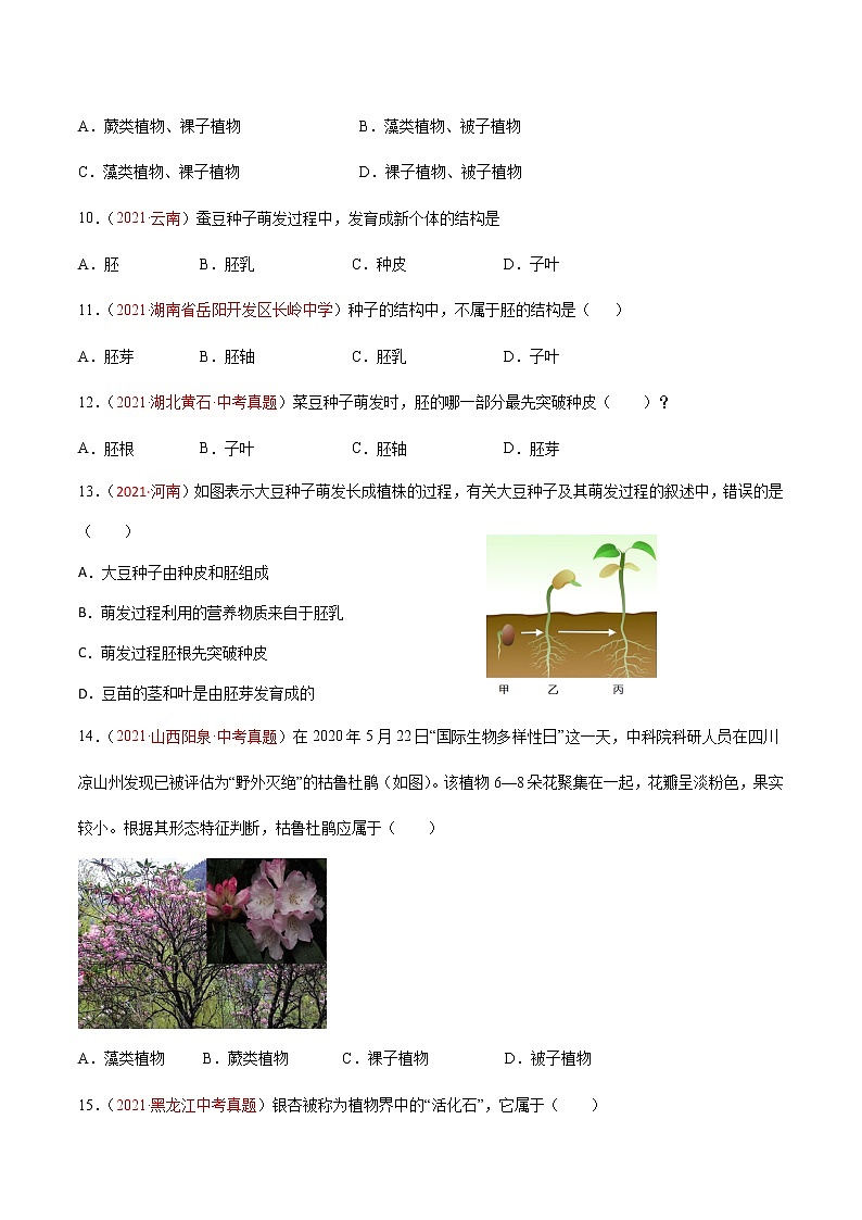 第03单元第01章生物圈中有哪些绿色植物、02章被子植物的一生单元测试（A卷•劣实基础）（原卷版）第3页