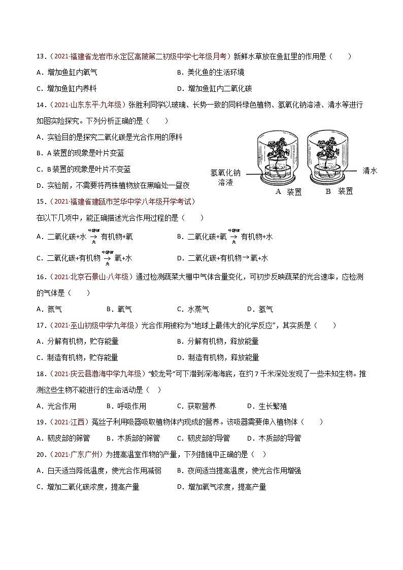 第03单元第03章—06章单元测试（A卷·夯实基础）（原卷版）第3页