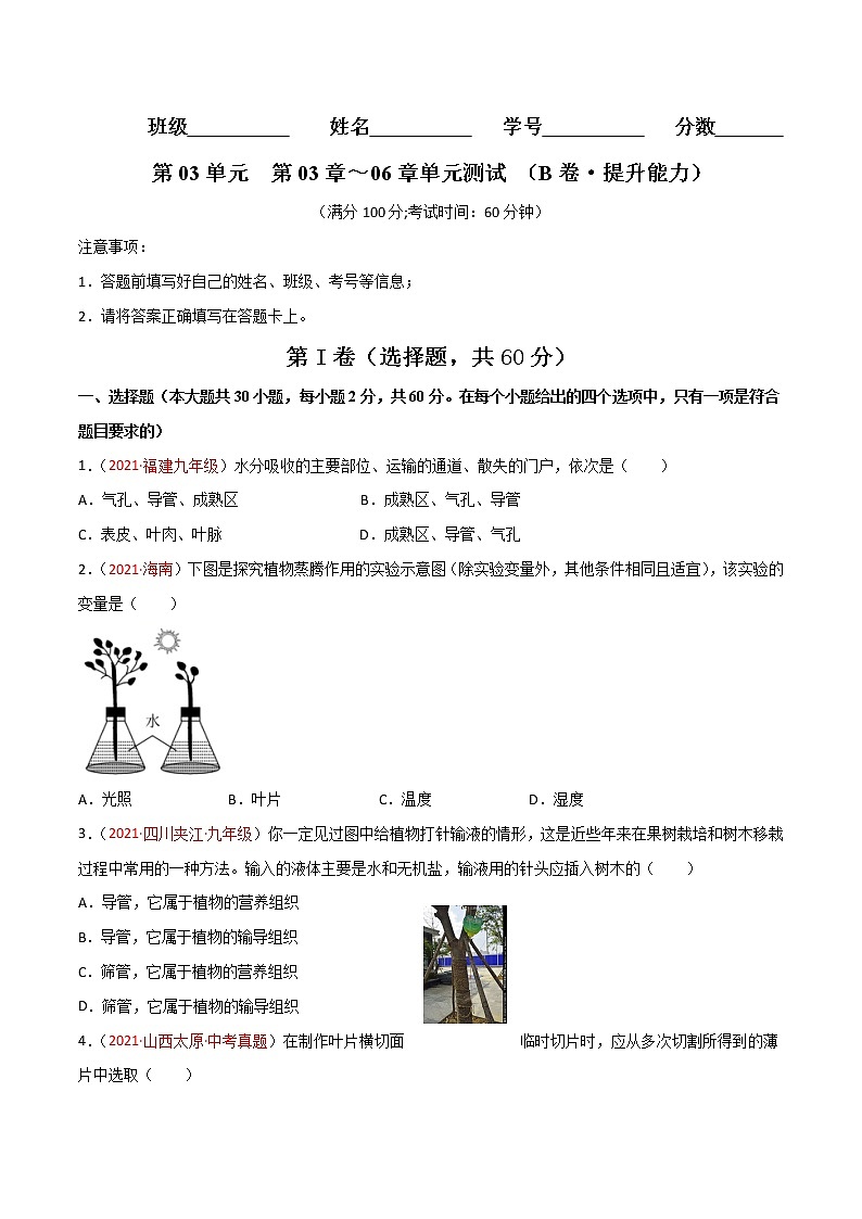 第03单元 第03章～06章单元测试（B卷•提升能力）-2022-2023学年七年级生物学上册同步单元AB卷（人教版）01