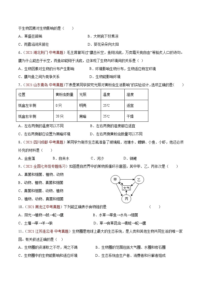 期中测试（B卷•提升能力）-2022-2023学年七年级生物学上册同步单元AB卷（人教版）02