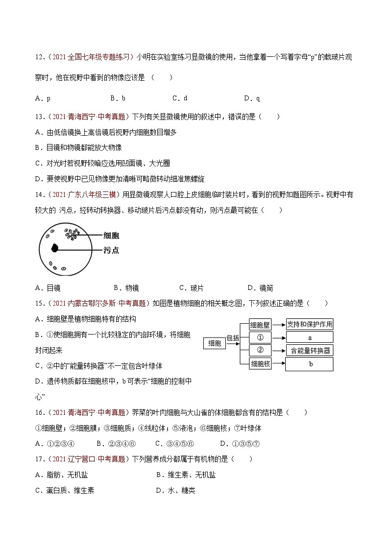 期中测试（B卷•提升能力）-2022-2023学年七年级生物学上册同步单元AB卷（人教版）03